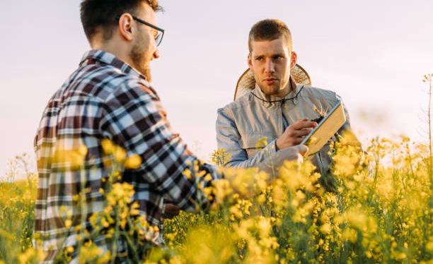 Canola oil Exporters in Canada