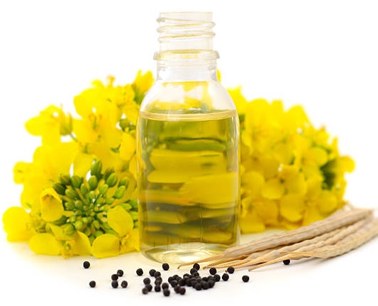 Canola oil suppliers in Canada