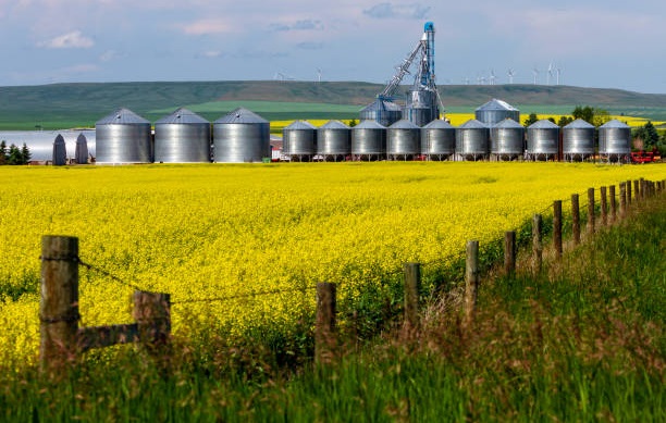 Canola oil producers in Canada